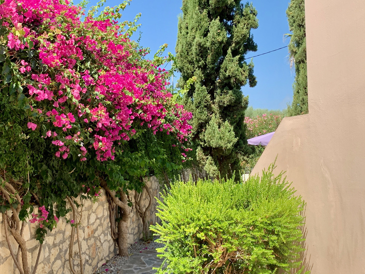 Tuin achter, Villa Ithaka op Kreta, het ideale vakantiethuis!