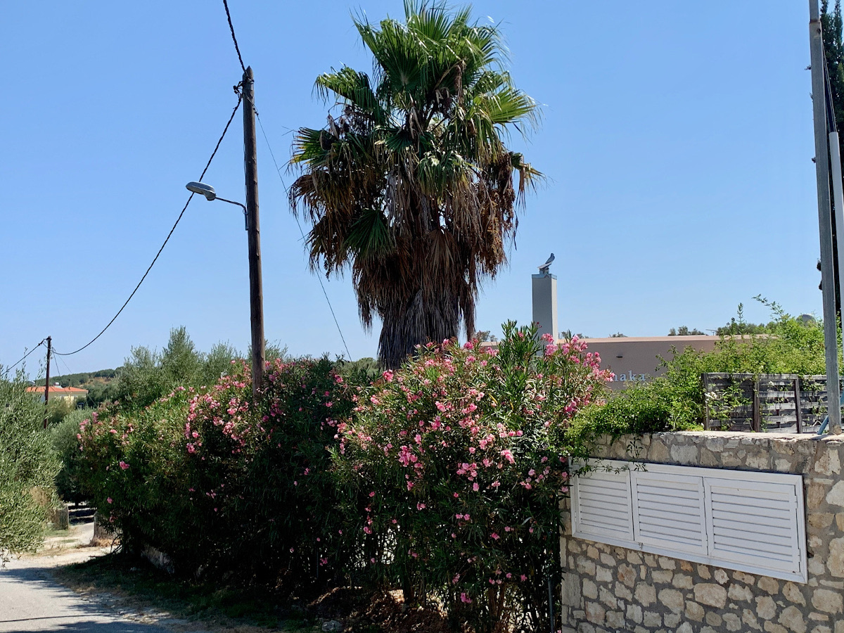 Tuin en voorkant villa, Villa Ithaka op Kreta, het ideale vakantiethuis!